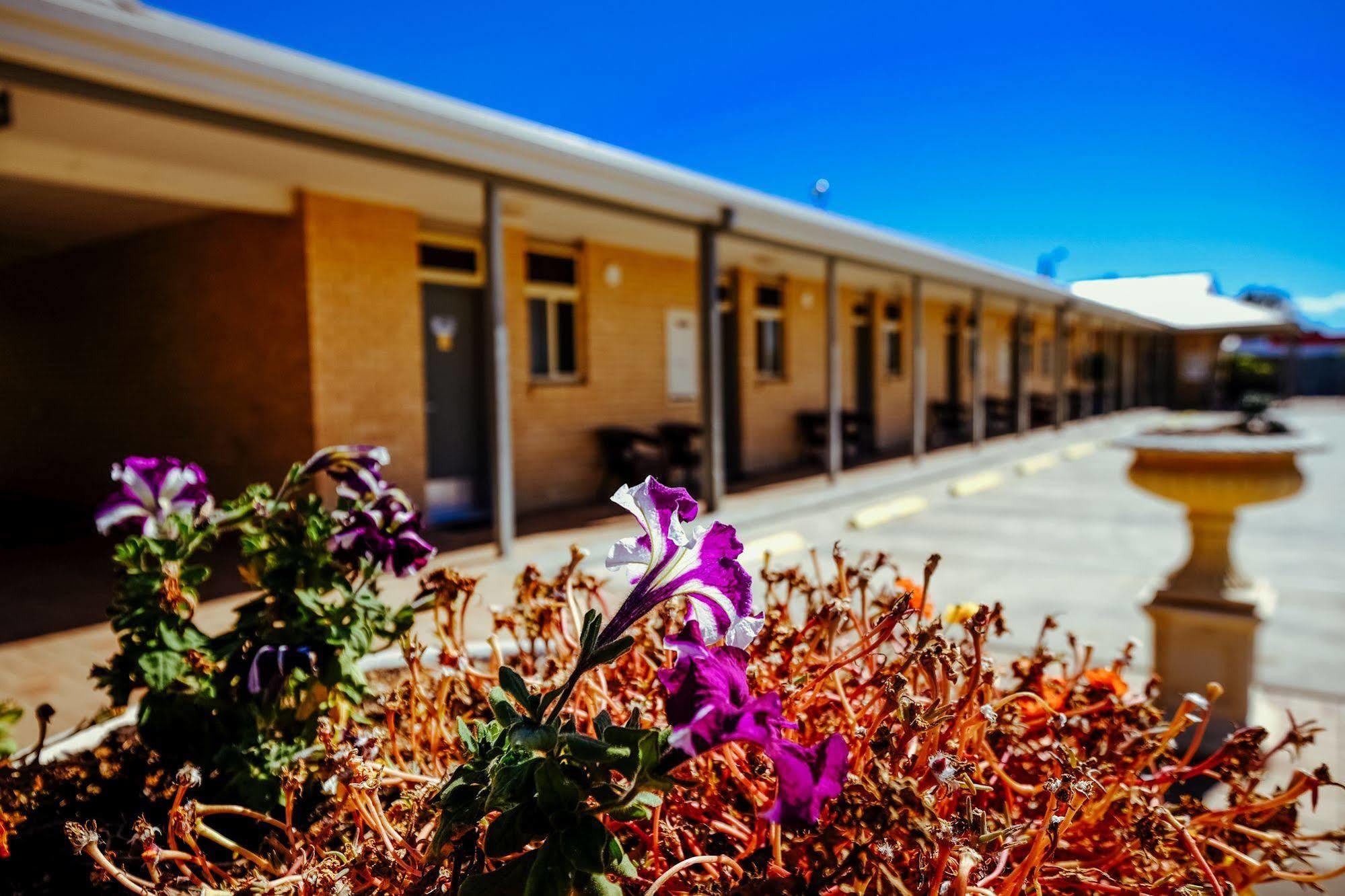 Club Motor Inn Narrabri Exteriér fotografie